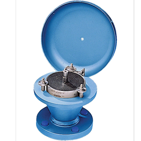 Anderson Greenwood Amal ERQB Flame Arrester