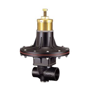 Tartarini™ RP Series Spring-Loaded Pressure Reducing Regulators