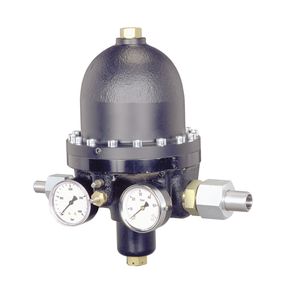 Tartarini™ Type RP/10 Pneumatic-Loaded Pressure Reducing Regulators