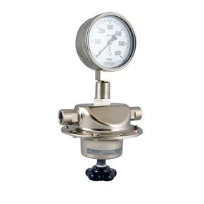 TESCOM™ Regulus 3 Pressure Regulator Gas