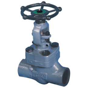 Yarway Series 5500 Globe Valves
