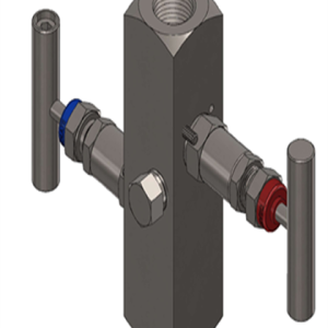 TTS Manifolds - TTS-306T-22BB11