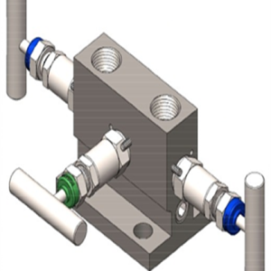 TTS Manifolds - TTS-304T-32B11
