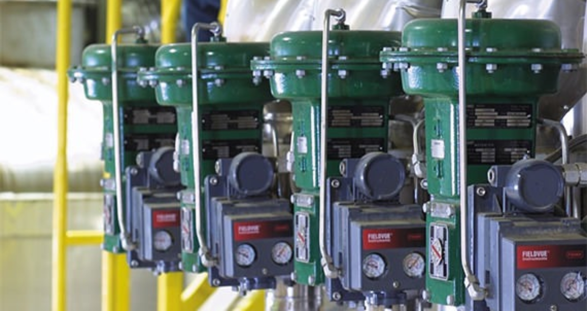 WhatsApp Image 2024-02-22 at 8.45.47 PM