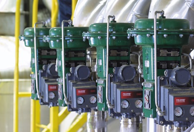 WhatsApp Image 2024-02-22 at 8.45.47 PM