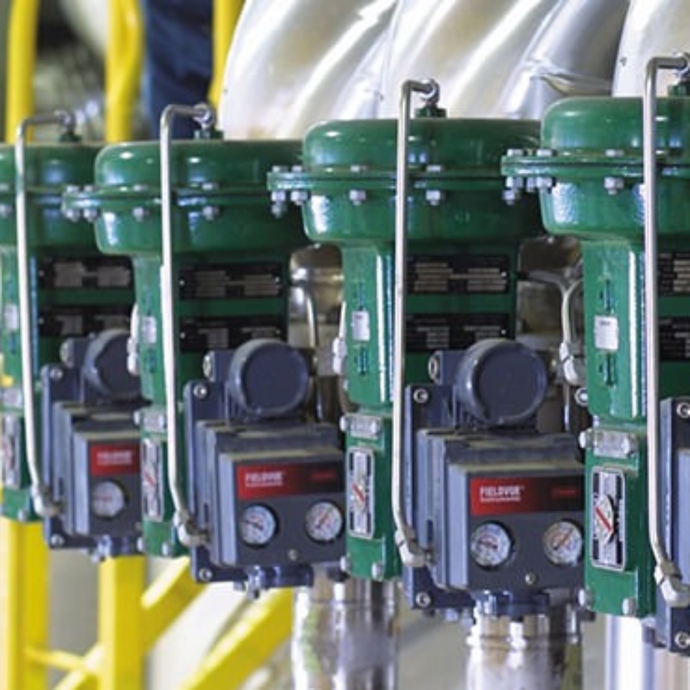 WhatsApp Image 2024-02-22 at 8.45.47 PM